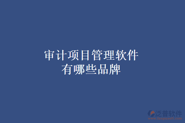 審計(jì)項(xiàng)目管理軟件有哪些品牌
