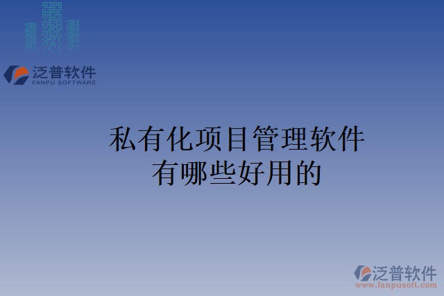 私有化項(xiàng)目管理軟件有哪些好用的