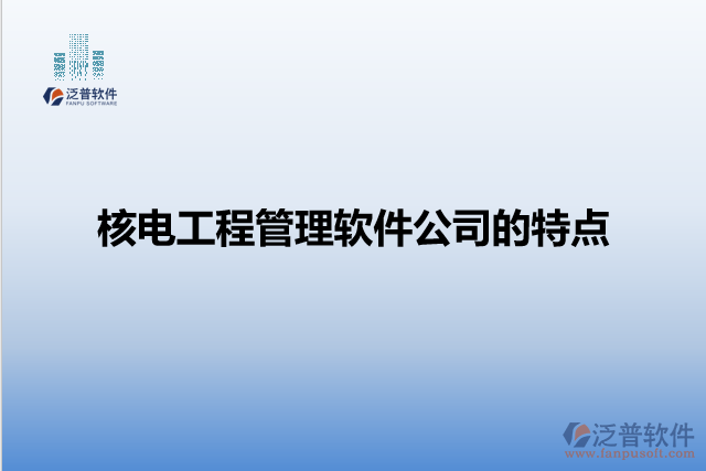 核電工程管理軟件公司的特點