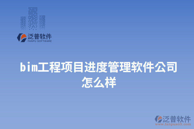 (bim工程項目進度管理軟件公司怎么樣