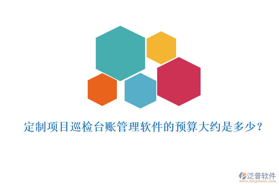 定制項(xiàng)目巡檢臺(tái)賬管理軟件的預(yù)算大約是多少？