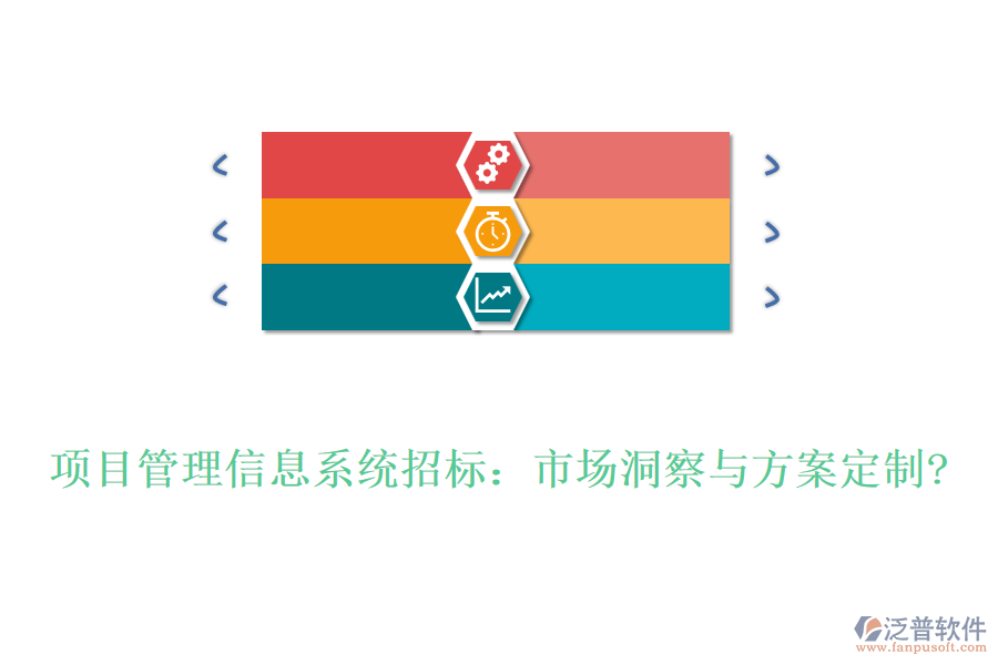 項(xiàng)目管理信息系統(tǒng)招標(biāo)：市場洞察與方案定制?