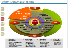 醫(yī)藥管理系統(tǒng)提出的可行性解決方案