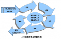 人力資源管理系統(tǒng)有哪些產(chǎn)品？