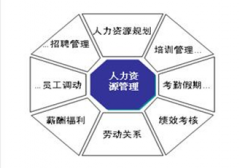 那里有免費的人力資源管理軟件呀？