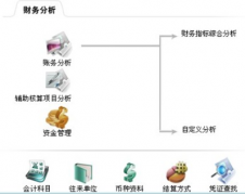財(cái)務(wù)軟件免費(fèi)版的優(yōu)缺點(diǎn)有哪些？