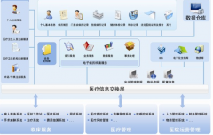 區(qū)域衛(wèi)生信息化是新醫(yī)改的必要條件！