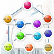 國內哪套小額信貸管理系統(tǒng)成熟？