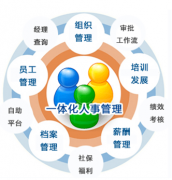 國內(nèi)人事軟件的排名是什么樣的情況？有知道的么？