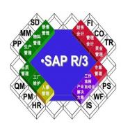 SAP是不是屬于財(cái)務(wù)軟件類？