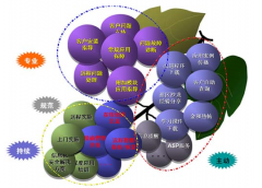 金和OA軟件好不好？有沒有人知道呢？