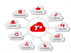 用友t+(U盤版)這個軟件怎么樣？