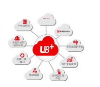 用友U8軟件問題，誰遇到過?。?>
            </a>
        </div>
        <h4 class=