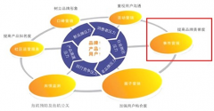 濰坊網(wǎng)站建設(shè)告訴你SEO的六個步驟