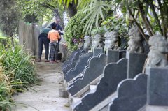 清明前首個小高峰 約1000萬人去祭掃，大堵車不可避免